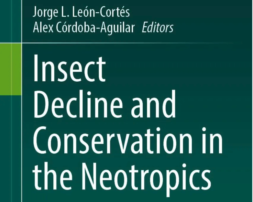 Insect Decline and Conservation in the Neotropics: un libro nuevo